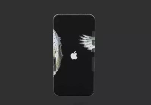 苹果iPhone XI：水下模式+三摄