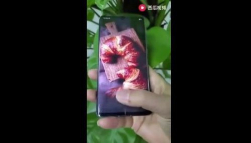华为P30 Pro真机上手视频曝光